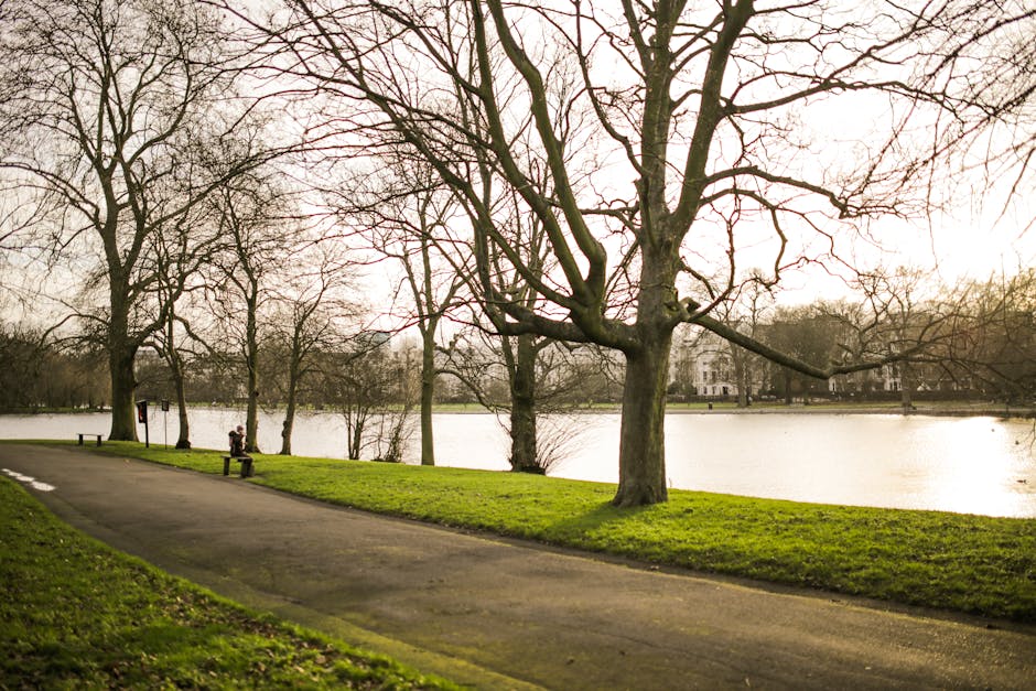 Rubbish Removal Near Carshalton Ponds Same Day Service